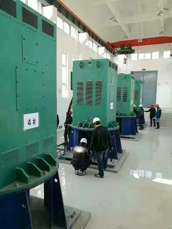 奎文某污水处理厂使用我厂的立式高压电机安装现场